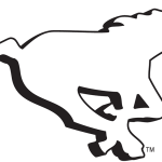 calgary_stampeders-primary-2019